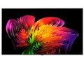 OLED83W6PJA [83�C���`]