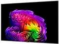 OLED83G6PJA [83�C���`]