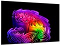 OLED83G6PJA [83�C���`]