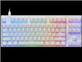 REALFORCE GX1 Plus X1PD23 [�X�[�p�[�z���C�g]