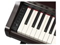 ARIUS YDP-166R [�j���[�_�[�N���[�Y�E�b�h��]