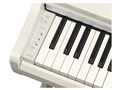 ARIUS YDP-166WB [�z���C�g�o�[�`��]