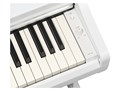 ARIUS YDP-166WH [�z���C�g�E�b�h��]