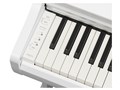 ARIUS YDP-166WH [�z���C�g�E�b�h��]