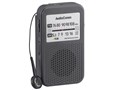 AudioComm RAD-P137N [�u���b�N]