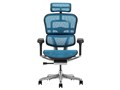 Ergohuman PRO2 EHP2-HAM-5D-DR-BF-BL [�u���[]