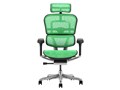 Ergohuman PRO2 EHP2-HAM-5D-DR-BF-GN [�O���[��]