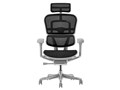 Ergohuman PRO2 EHP2-HAM-5D-DR-GF-BK [�u���b�N]