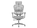 Ergohuman PRO2 EHP2-HAM-5D-DR-GF-WH [�z���C�g]