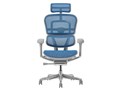 Ergohuman PRO2 EHP2-HAM-5D-DR-GF-BL [�u���[]