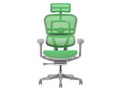 Ergohuman PRO2 EHP2-HAM-5D-DR-GF-GN [�O���[��]