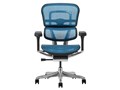 Ergohuman PRO2 EHP2-LAM-5D-DR-BF-BL [�u���[]