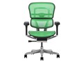 Ergohuman PRO2 EHP2-LAM-5D-DR-BF-GN [�O���[��]
