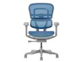 Ergohuman PRO2 EHP2-LAM-5D-DR-GF-BL [�u���[]
