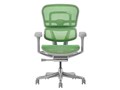 Ergohuman PRO2 EHP2-LAM-5D-DR-GF-GN [�O���[��]