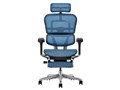 Ergohuman PRO2 Ottoman EHP2-LPL-5D-DR-BF-BL [�u���[]
