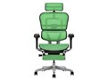 Ergohuman PRO2 Ottoman EHP2-LPL-5D-DR-BF-GN [�O���[��]