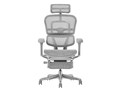 Ergohuman PRO2 Ottoman EHP2-LPL-5D-DR-GF-WH [�z���C�g]