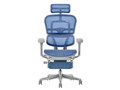 Ergohuman PRO2 Ottoman EHP2-LPL-5D-DR-GF-BL [�u���[]
