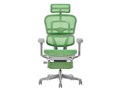 Ergohuman PRO2 Ottoman EHP2-LPL-5D-DR-GF-GN [�O���[��]