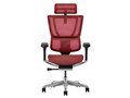 Ergohuman FIT2 FIT2-HAM-5D-DR-BF-RD [���b�h]