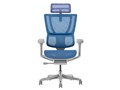 Ergohuman FIT2 FIT2-HAM-5D-DR-GF-BL [�u���[]