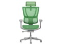 Ergohuman FIT2 FIT2-HAM-5D-DR-GF-GN [�O���[��]