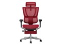 Ergohuman FIT2 Ottoman FIT2-LPL-5D-DR-BF-RD [���b�h]