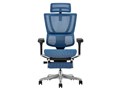 Ergohuman FIT2 Ottoman FIT2-LPL-5D-DR-BF-BL [�u���[]