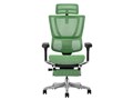 Ergohuman FIT2 Ottoman FIT2-LPL-5D-DR-BF-GN [�O���[��]