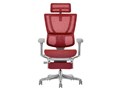 Ergohuman FIT2 Ottoman FIT2-LPL-5D-DR-GF-RD [���b�h]