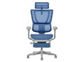 Ergohuman FIT2 Ottoman FIT2-LPL-5D-DR-GF-BL [�u���[]