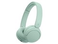 WH-CH530 (G) [�~���g]