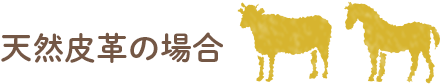 VRv̏ꍇ