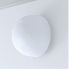 �����`�Ɩ��i�u�������v�j