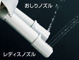 ������p���f�B�X�m�Y��