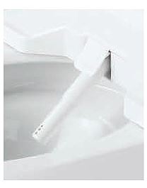 �N���[���m�Y��