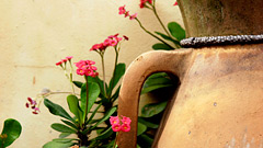 荒れた庭を洋風に