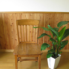 ��10�������[�g���̉H�ڔ̒���t��