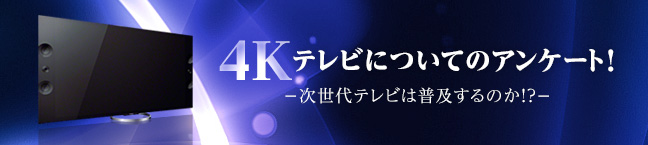 No.073 4K�e���r�ɂ��ẴA���P�[�g�I2013  -������e���r�͕��y����̂�!? -