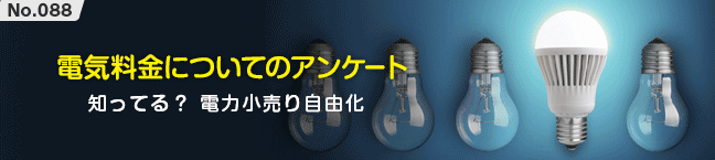 No.088 �d�C�����ɂ��ẴA���P�[�g -�m���Ă�H �d�͏����莩�R��-