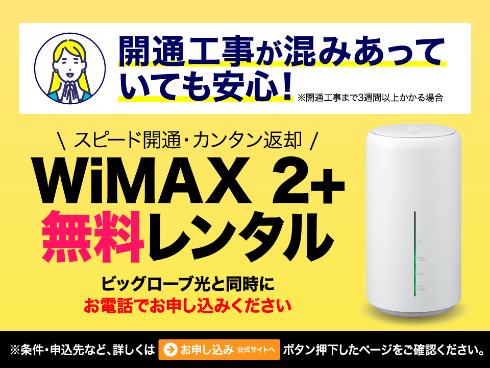 ビッグローブ光 ファミリータイプ 2年契約 プロバイダ比較 価格 Com