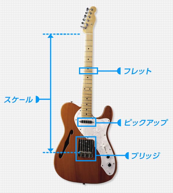 エレキギター 周辺機器特集 エレキギターの構造 パーツ名称 価格 Com