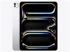 Apple iPad Pro 11インチ (M4) Wi-Fi 512GB 2024年春モデル 価格
