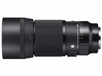 シグマ SIGMA 70mmF2.8 DG MACRO EO【美品】 シグマ 70mm F2.8 DG MACRO Art レビュー｜シャープな描写を楽しむ
