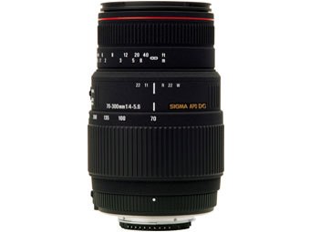 APO 70-300mm F4-5.6 DG MACRO (キヤノン AF) APO 70-300mm F4-5.6 DG MACRO (ｷﾔﾉﾝ AF)の製品画像 - 価格.com