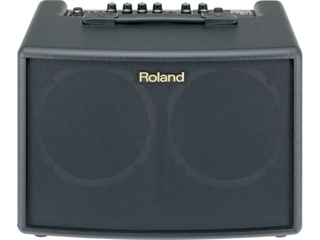 Acoustic Chorus AC-60