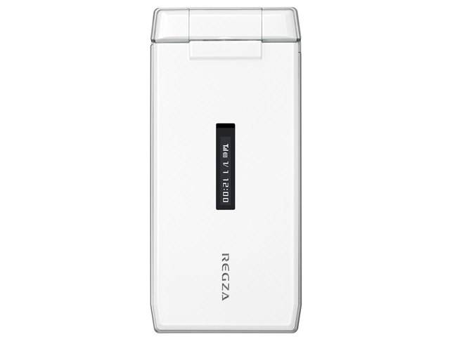 REGZA スマホ 20110204171138_289_.jpg