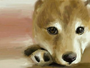 新 絵心教室 [3DS]の製品画像 - 価格.com