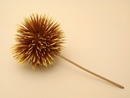 ベルセルク くりパックアングリー ～ひのき材～(ブルーVer.)の製品画像